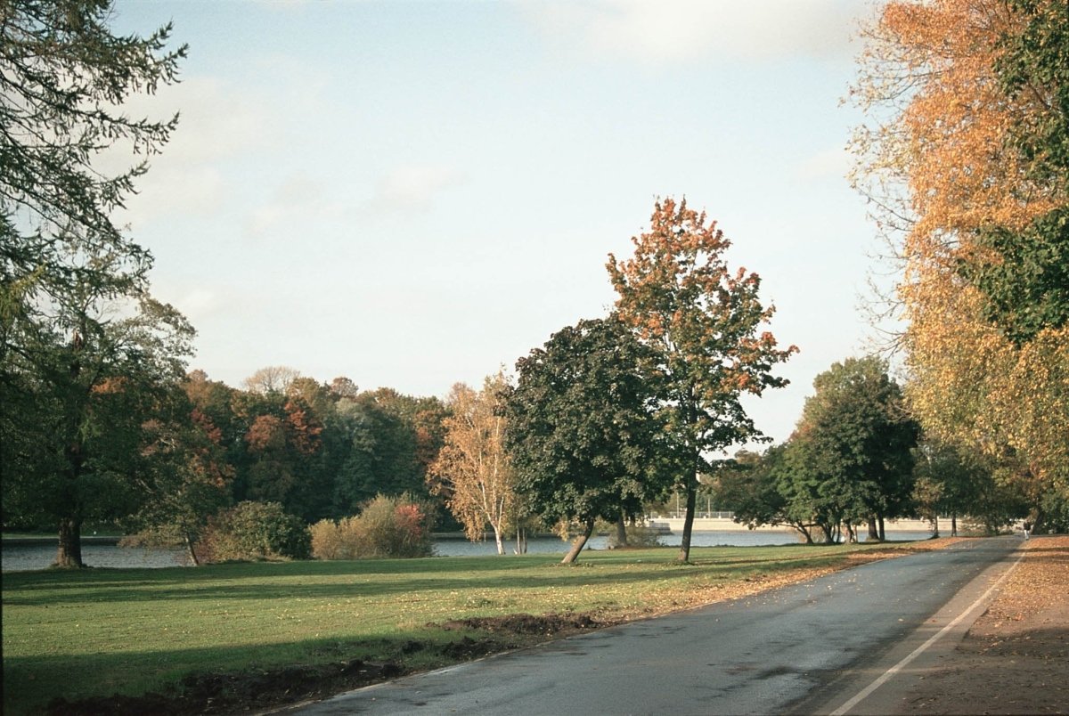 Silberra Color 160 - 35mm Film - Analogue Wonderland