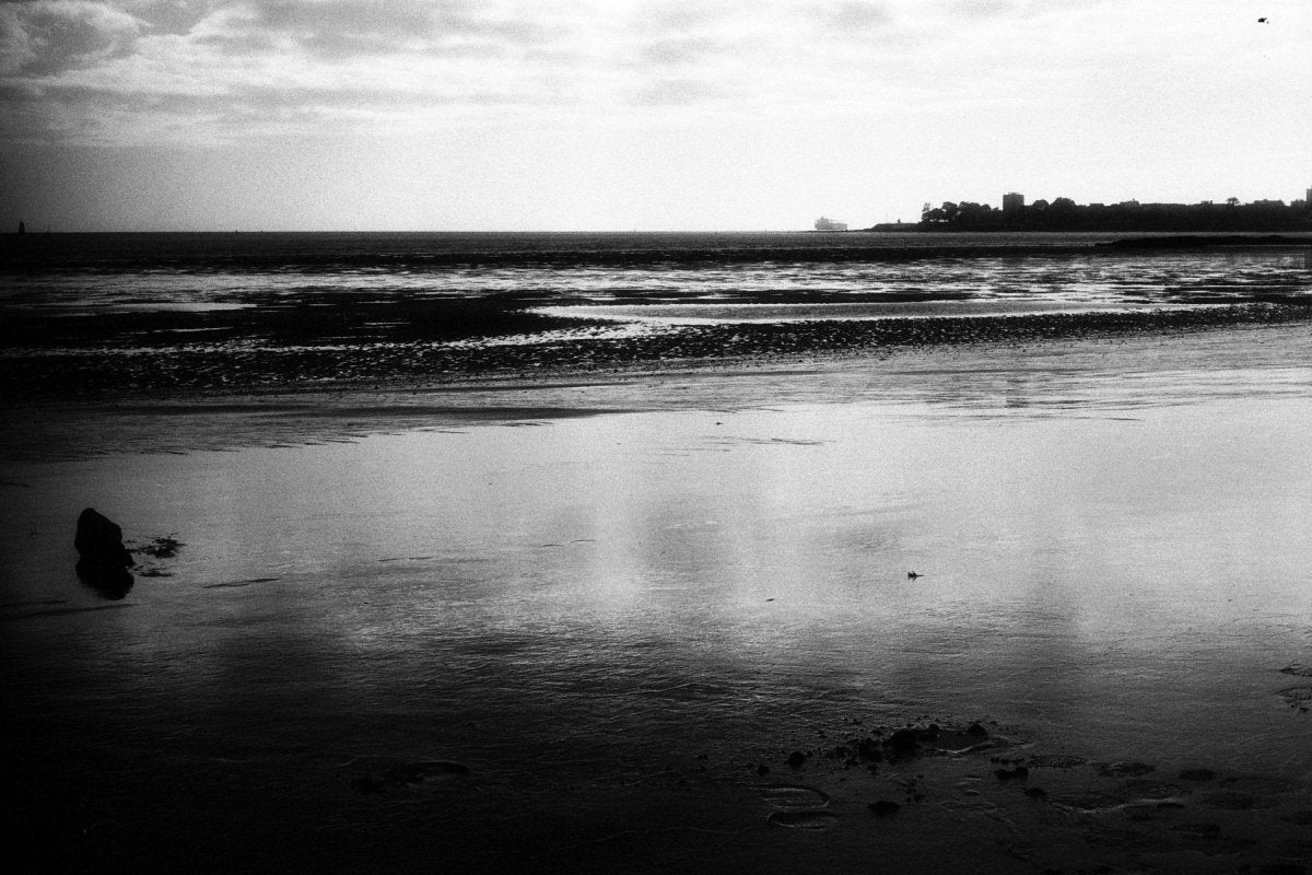 Washi F - 35mm Film - Analogue Wonderland - 3