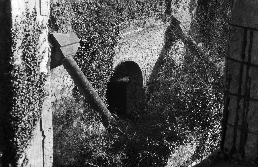 Washi K Film 4x5 B&W ISO 100 - Analogue Wonderland - 2