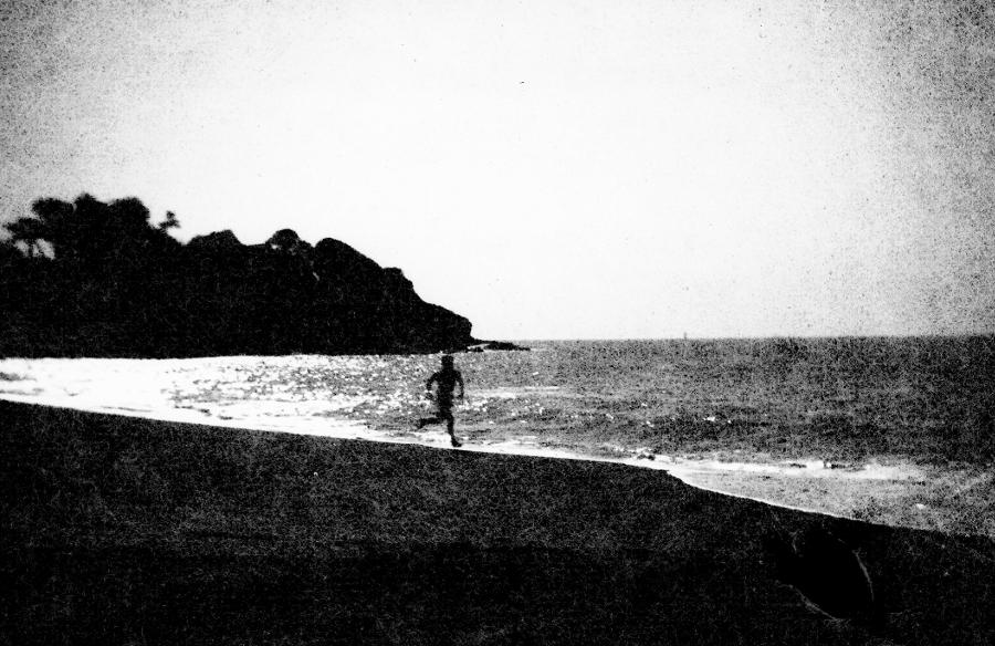 Washi W - 4x5 XRay Film - Analogue Wonderland - 2