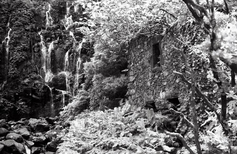 Washi Z - 35mm Film - Analogue Wonderland - 2