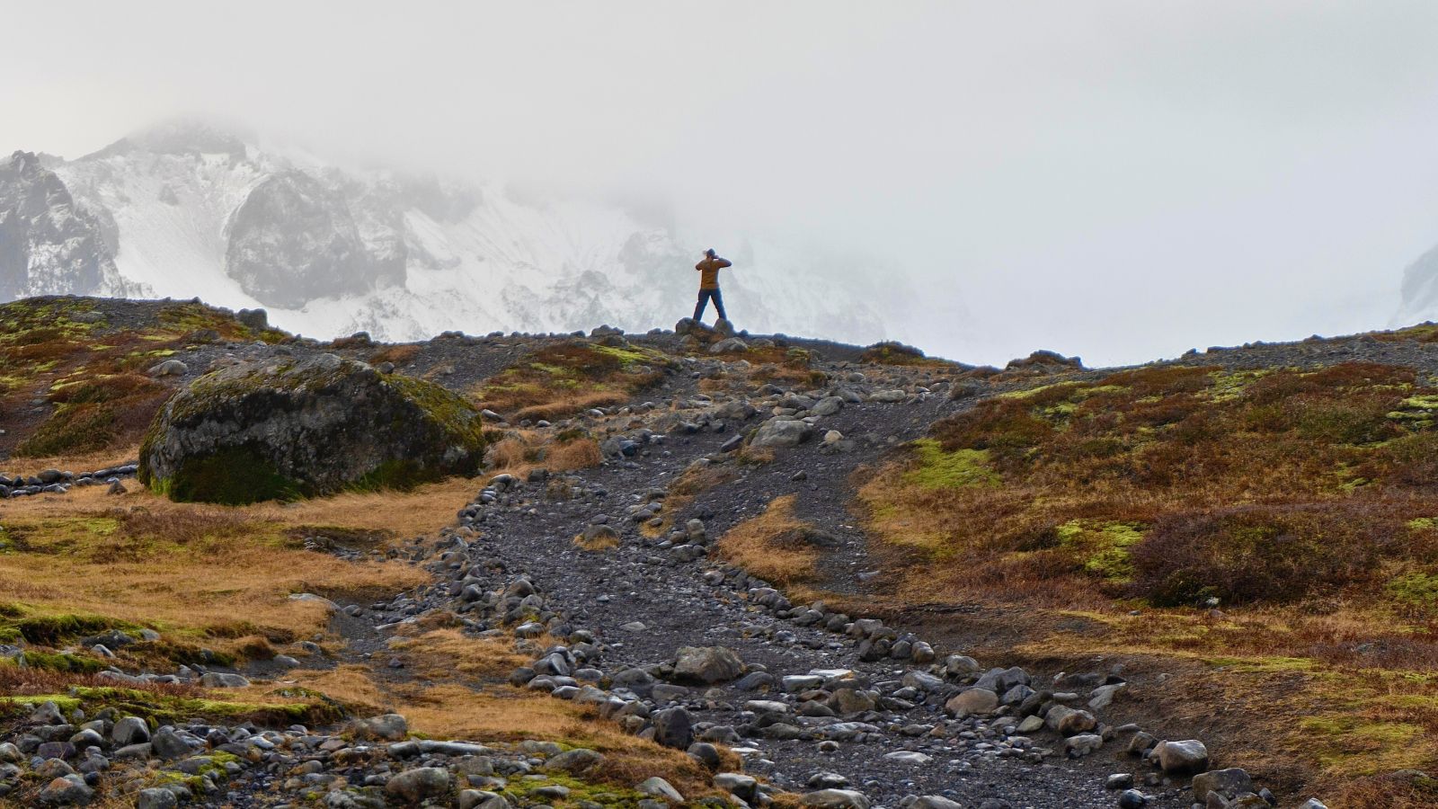 Analogue Adventures: Masha with Five Hours of Daylight