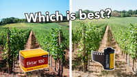 Kodak Ektar vs Pro Image - the Battle of ISO 100 Film
