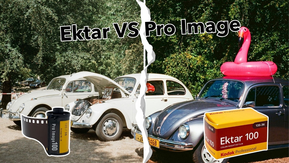 Kodak Ektar vs Pro Image - the Battle of ISO 100 Film