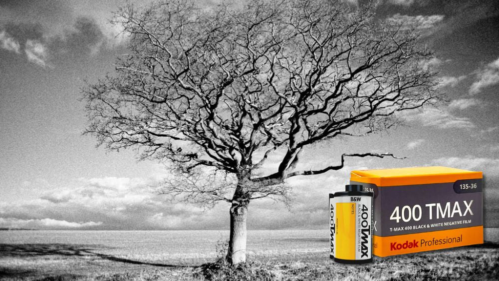 Black-and-white landscape photo of a lone leafless tree in an open field under a cloudy sky, with a Kodak Professional T-Max 400 film box and roll shown in the corner.