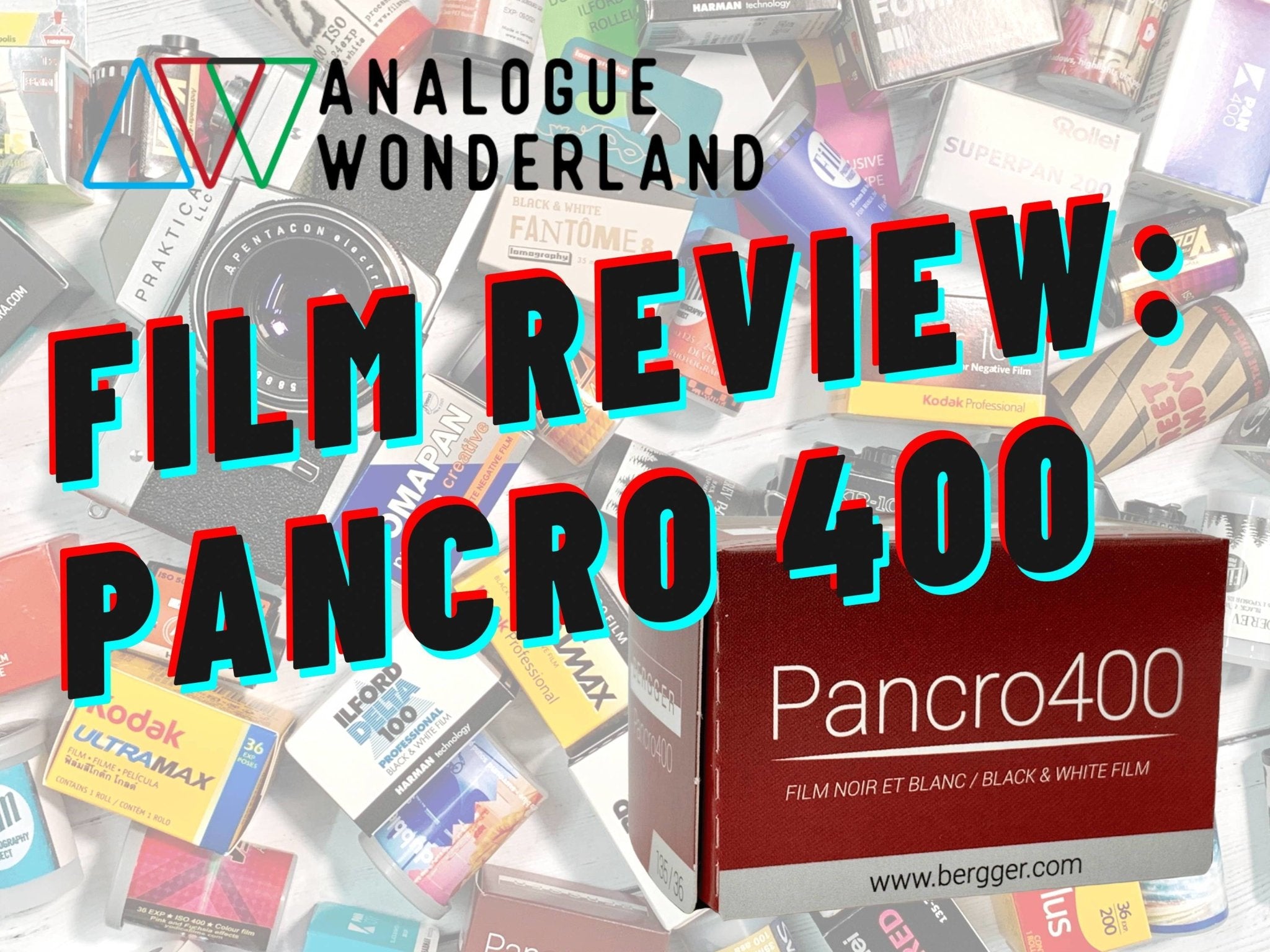 Bergger Pancro 400 Review - Analogue Wonderland