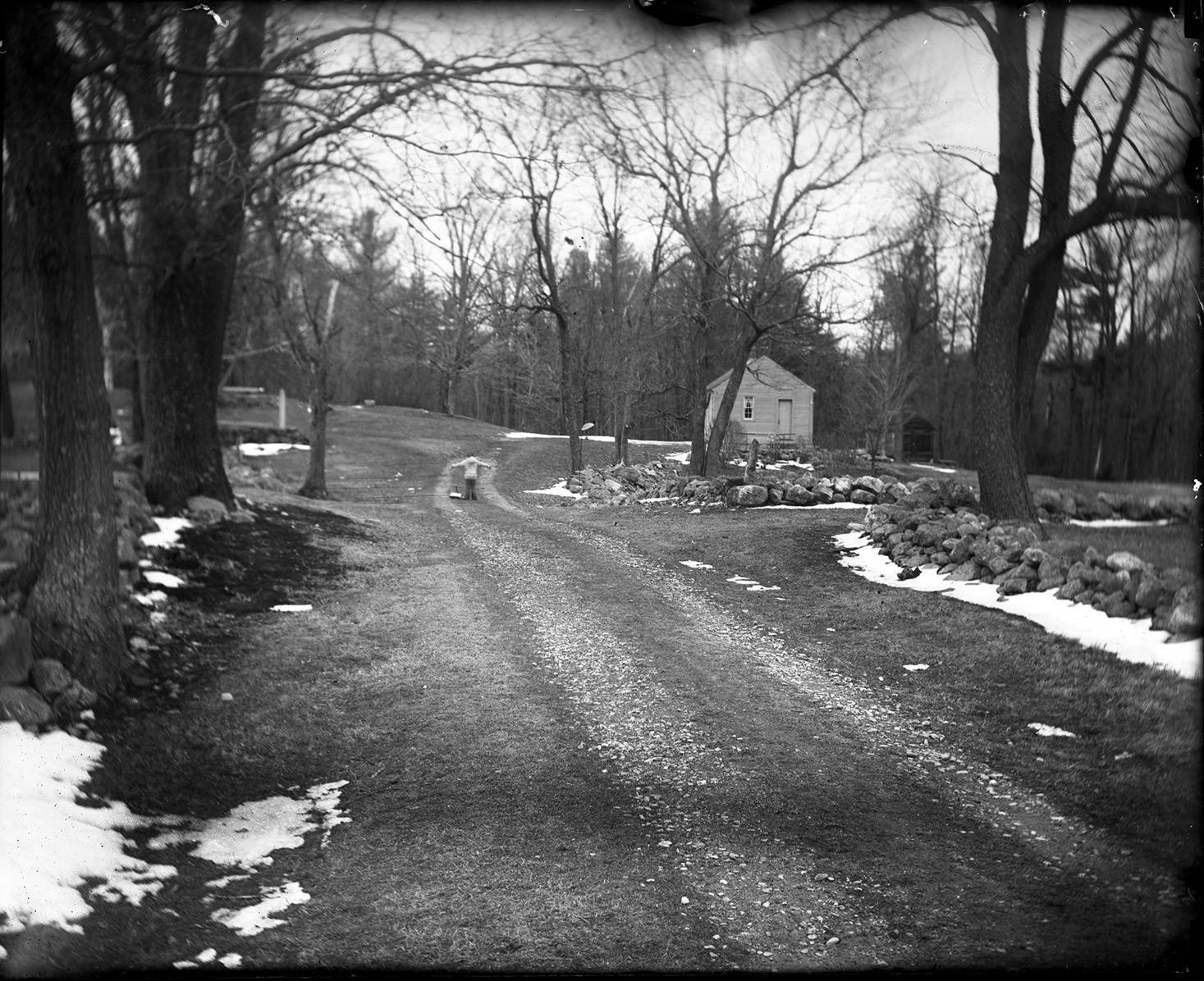 Dry Plates: the 1880s technology for the modern photographer - Analogue Wonderland