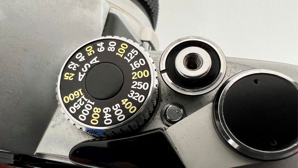 Film Speed Explained: What It Is and How It Affects Your Photos - Analogue Wonderland
