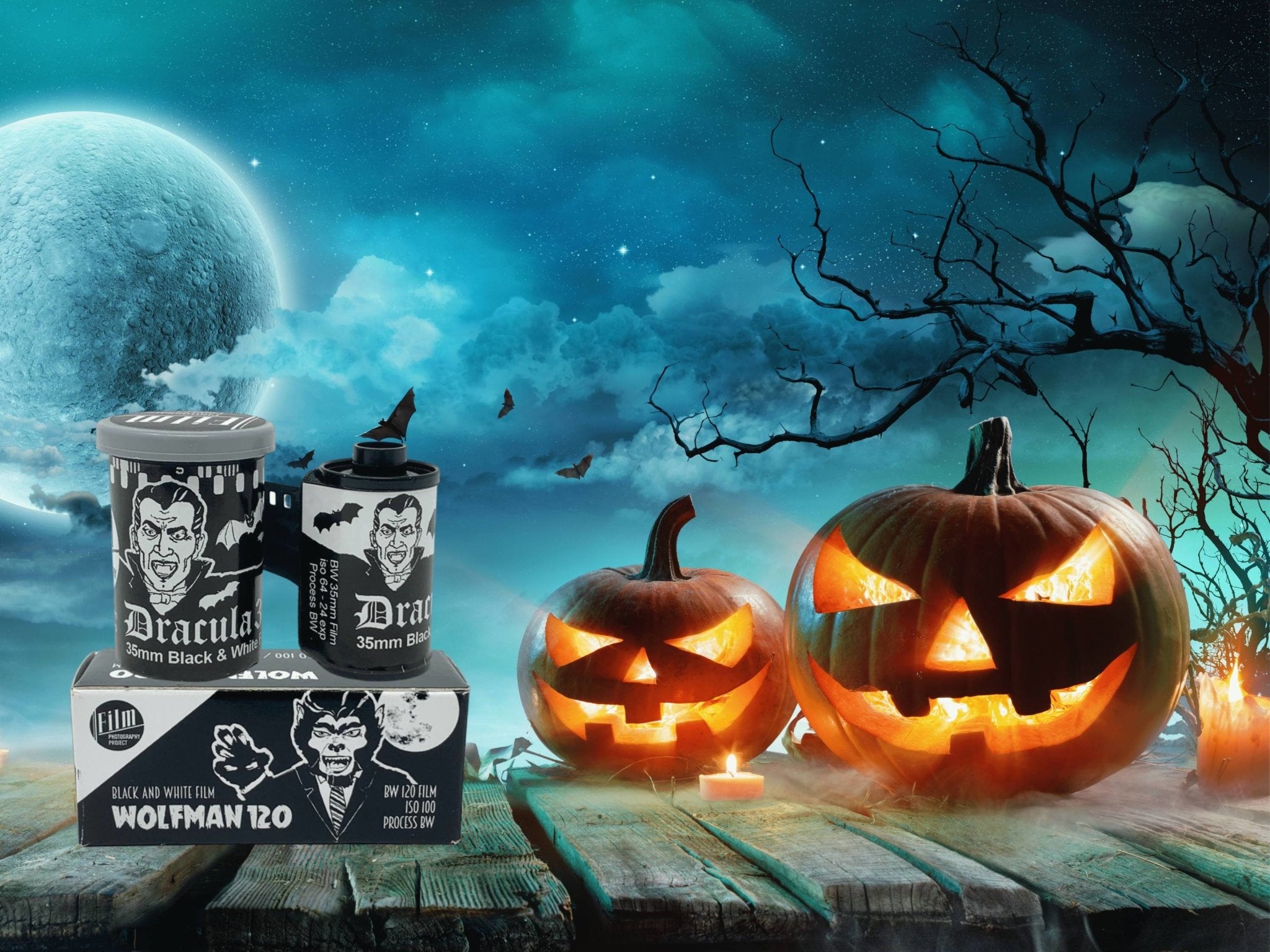 Halloween Films 2020 - Analogue Wonderland