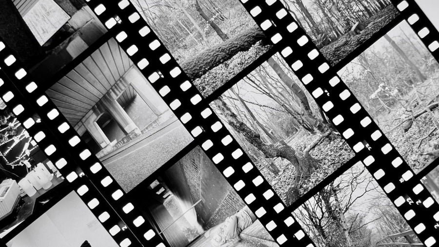 Processing Black and White Reversal Film Analogue Wonderland