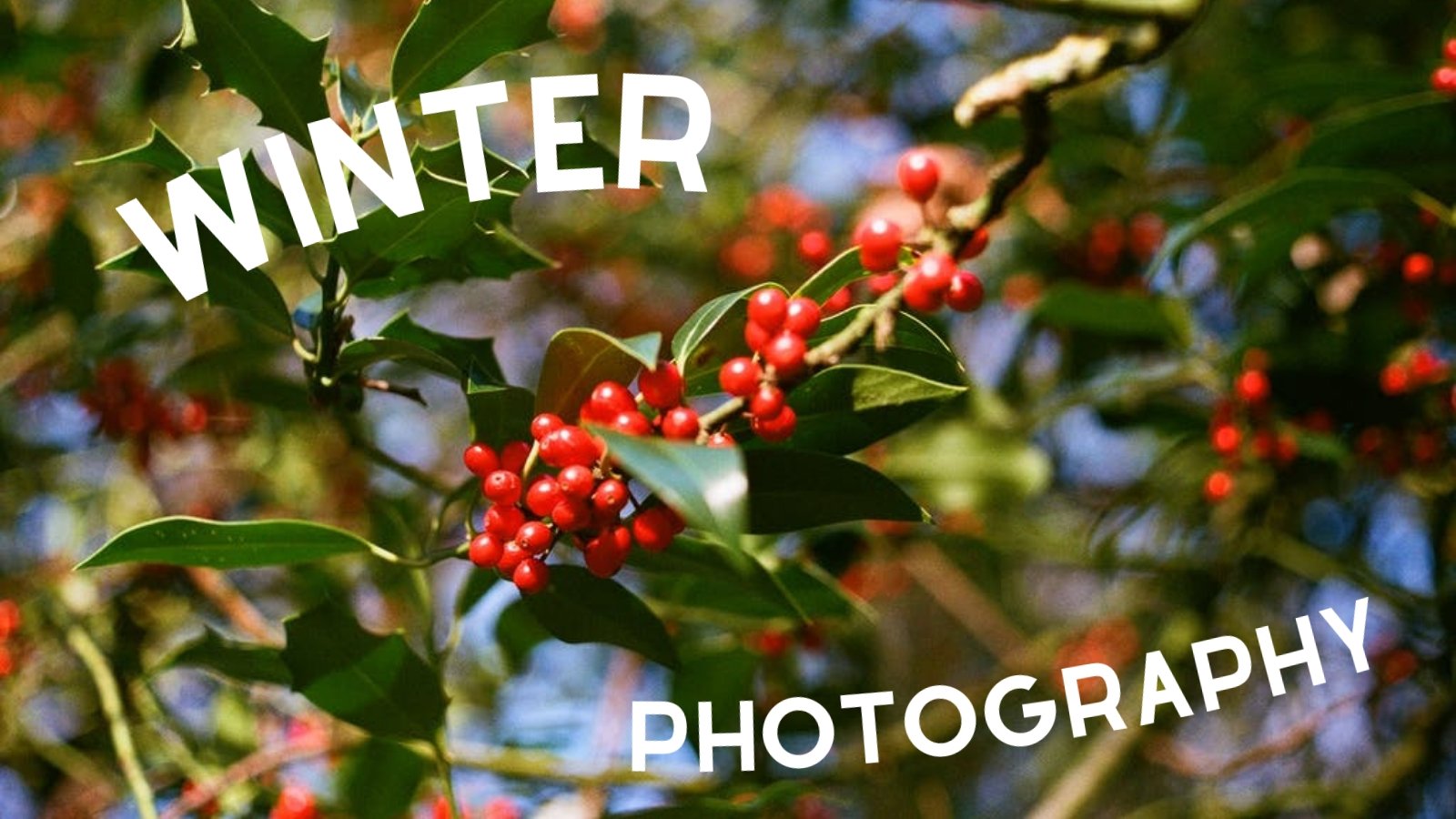 Winter Wonderland - A Film User’s Guide to Winter Photography - Analogue Wonderland