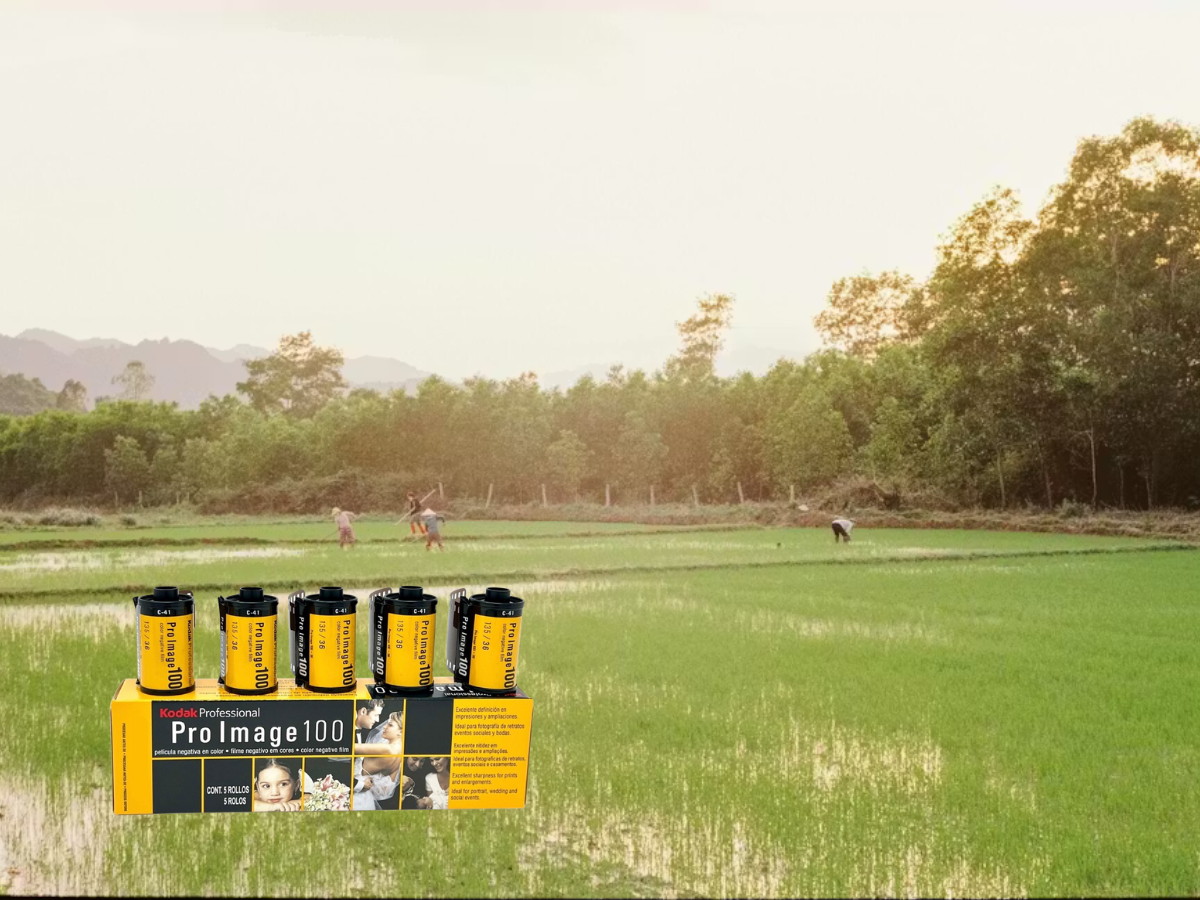 Kodak Pro Image 100 35mm Film Perfect for Travel