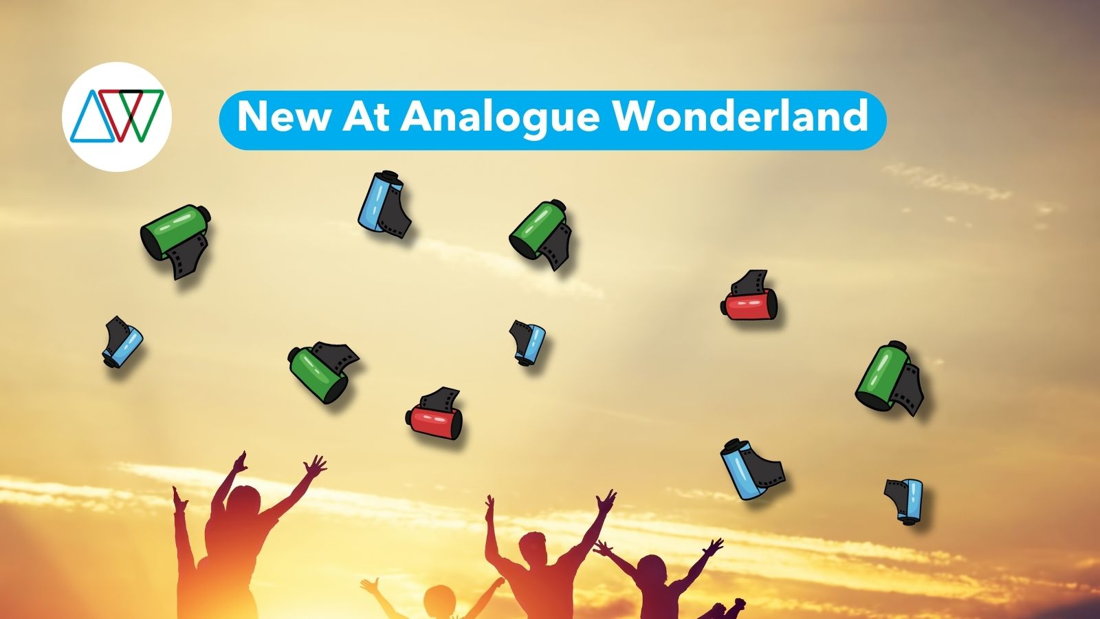 new stock at analogue wonderland