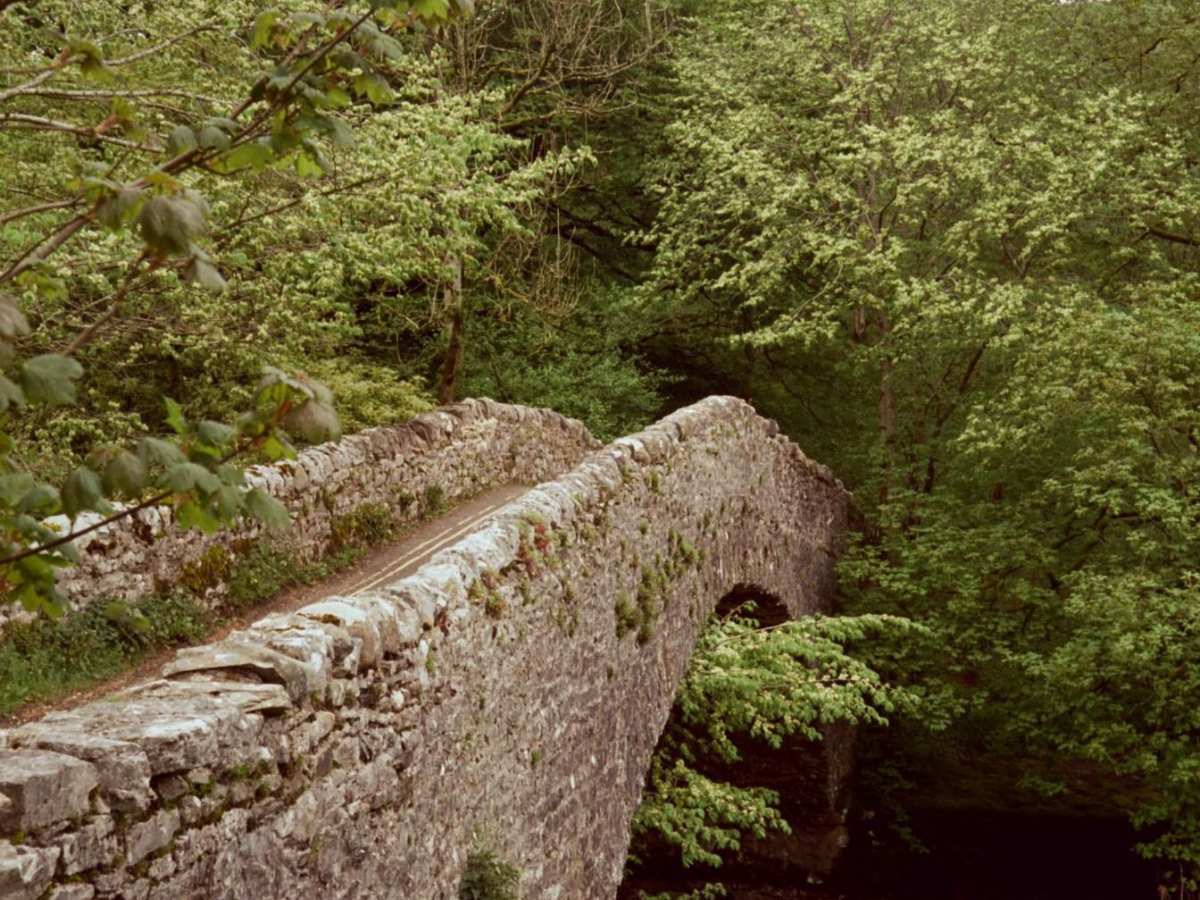 Candido 50 - 35mm Film