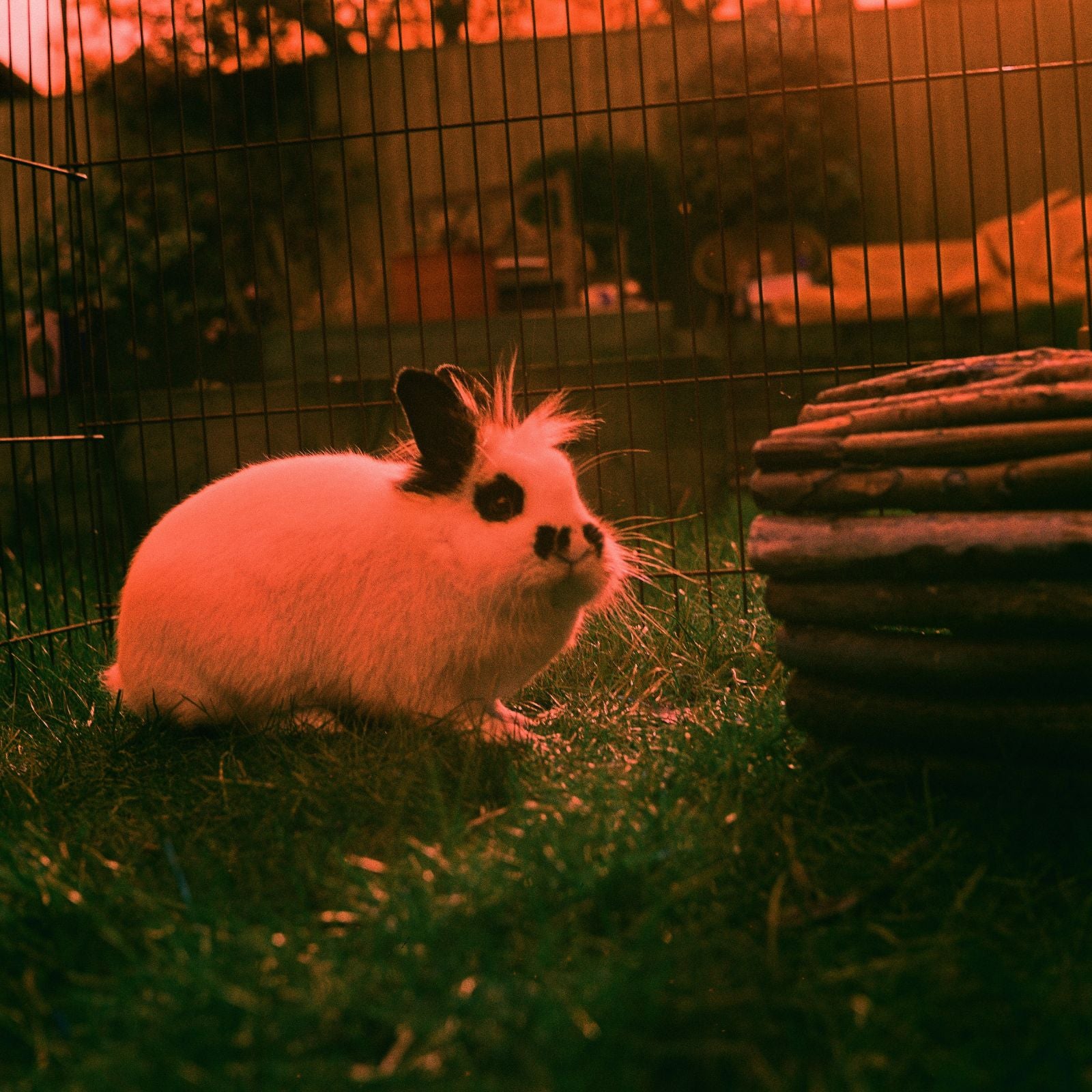 Harman Switch Azure 125 - 35mm & 120 Film Bundle