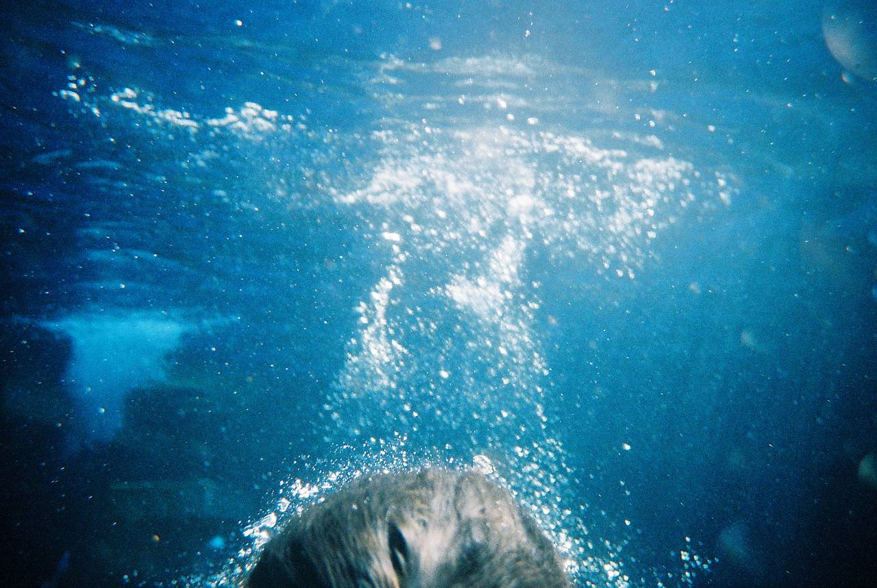 Lomography LC-A/Wide Krab - Underwater Housing - Sample photo 4
