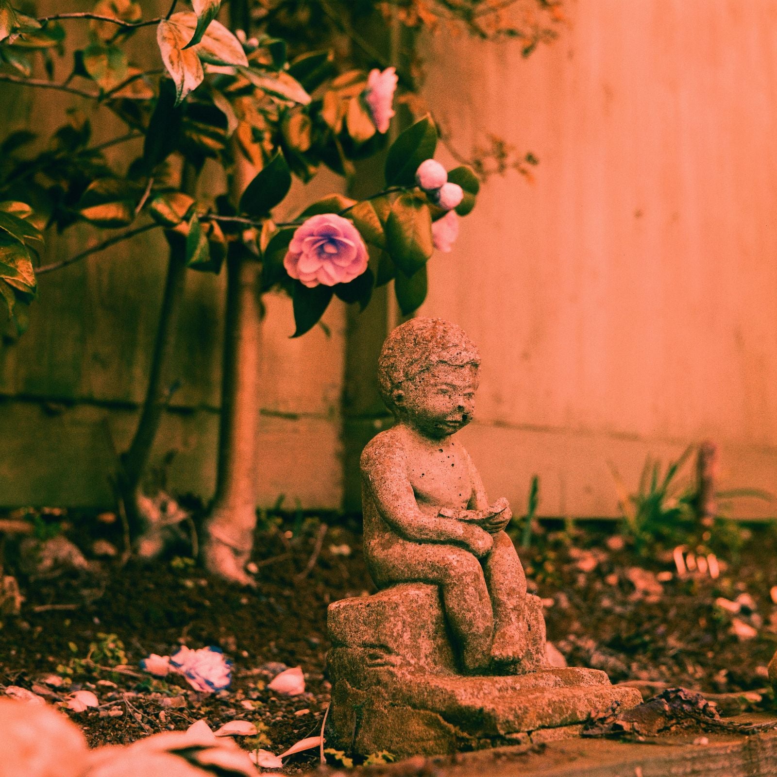 Harman Switch Azure 125 - 35mm & 120 Film Bundle