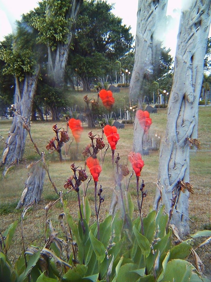 Effect Lens - Radial & Six Prism Lens Set / Radial & Kaleidoscope Lens Set