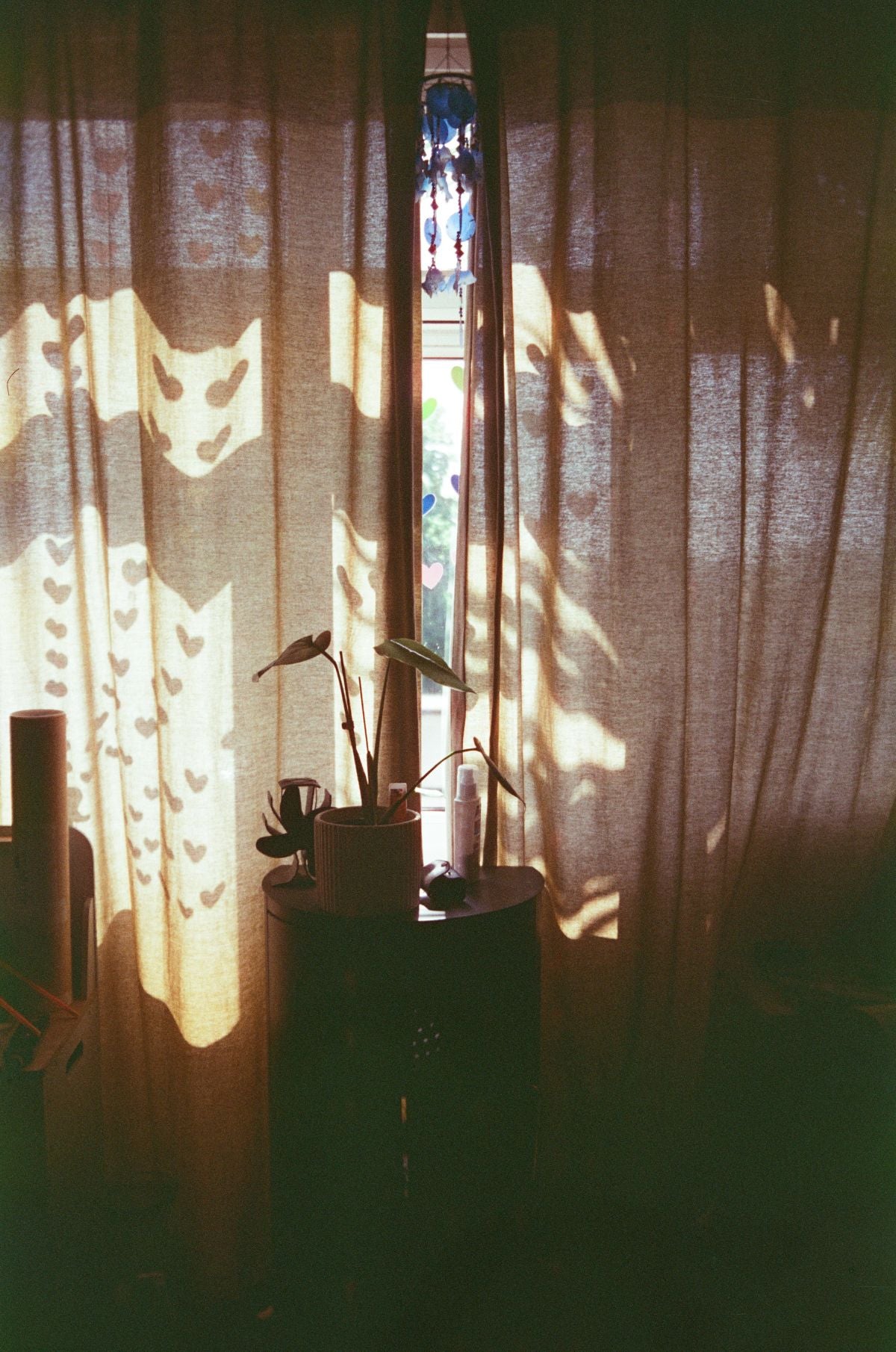 BT21 Star 400 - 35mm Film - Tom Warland 2