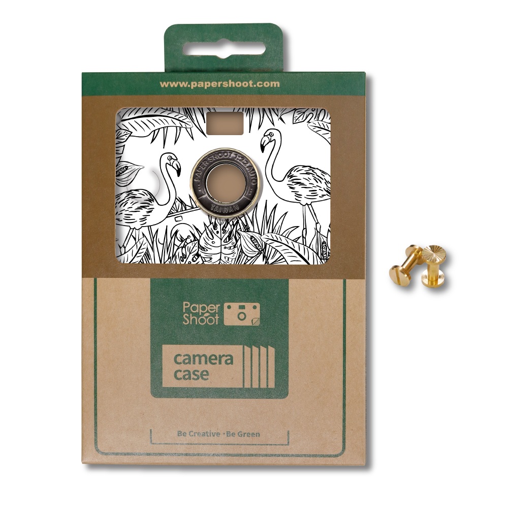 Paper Case - Colouring