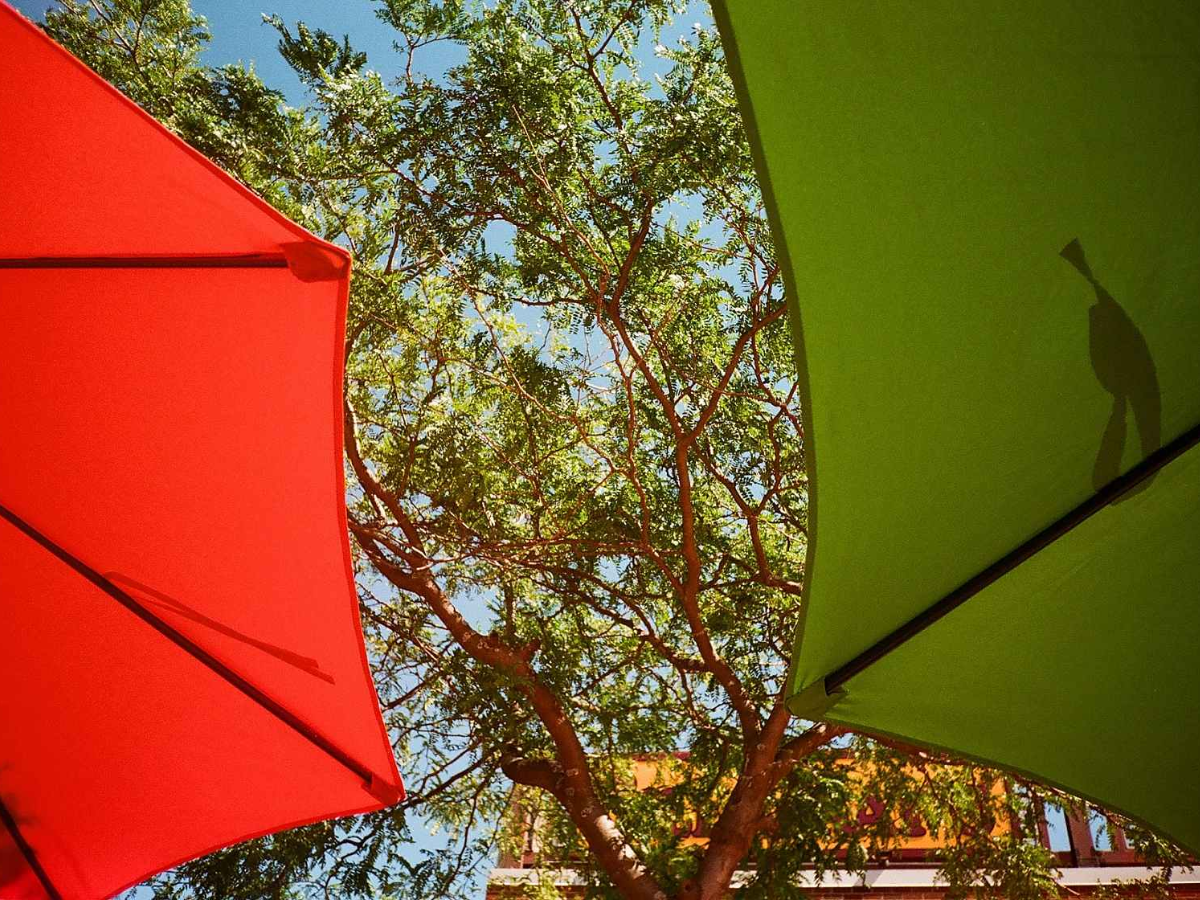 A low-angle view looking up through the branches of a leafy tree, framed by the edges of two large umbrellas, one red on the left and one green on the right.