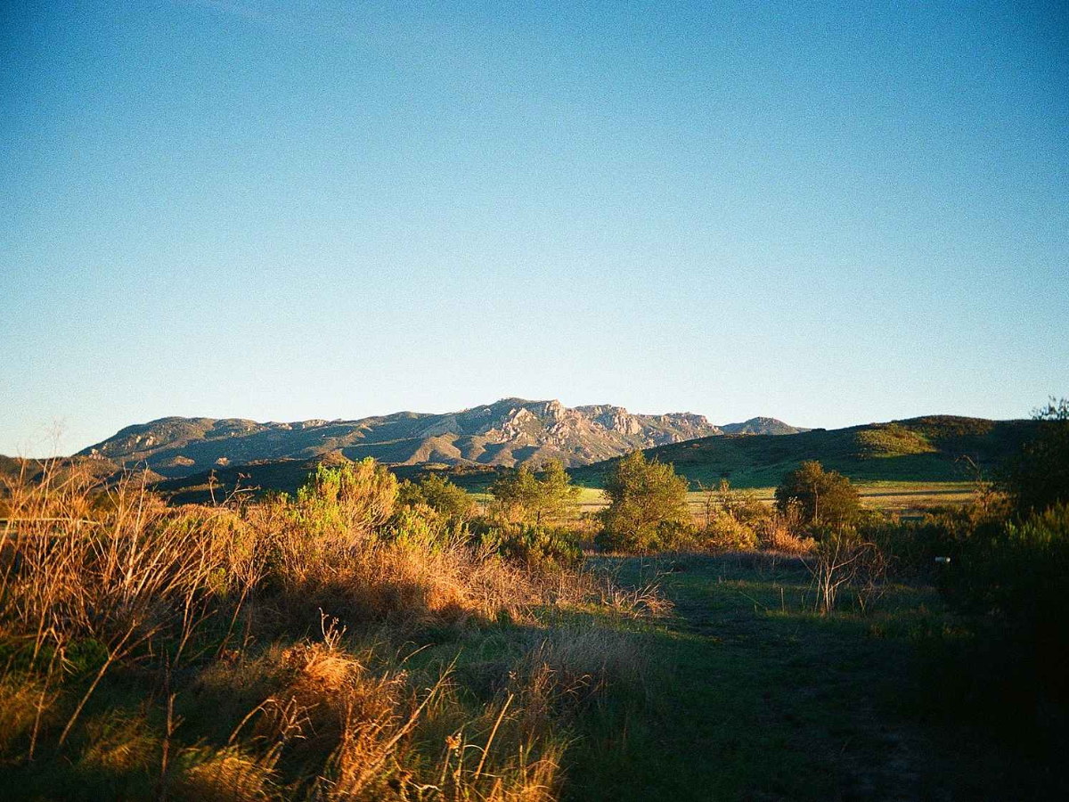 A scenic landscape photograph featuring a clear blue sky, distant rocky mountains, and golden-brown grasses in the foreground.