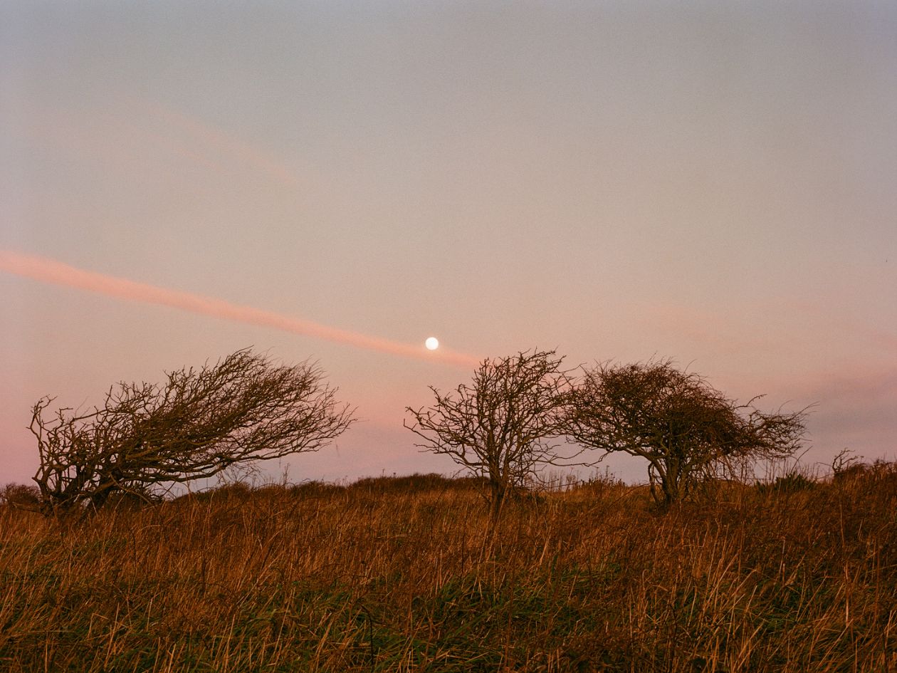 FPP Color 125 - 120 Film - Sample Image 5 Heather Hughes