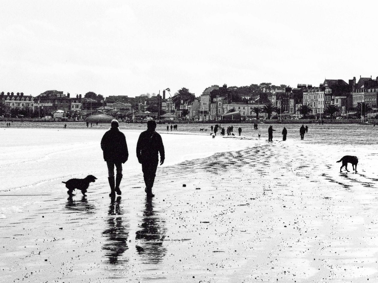 Two people walking dogs on a beach with a cityscape in the background.