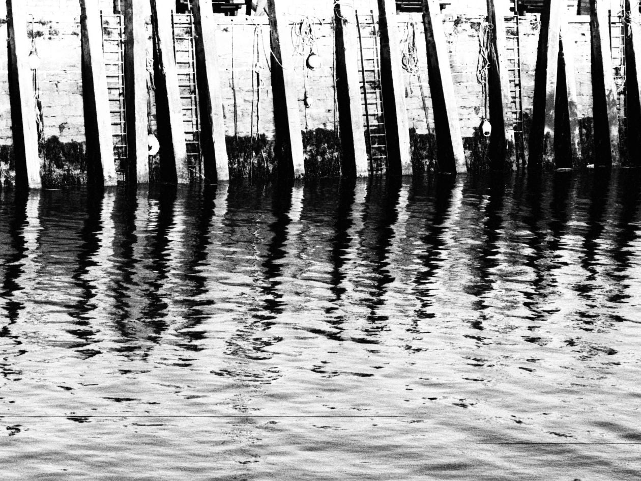 Black and white reflection of wooden pier posts in water.