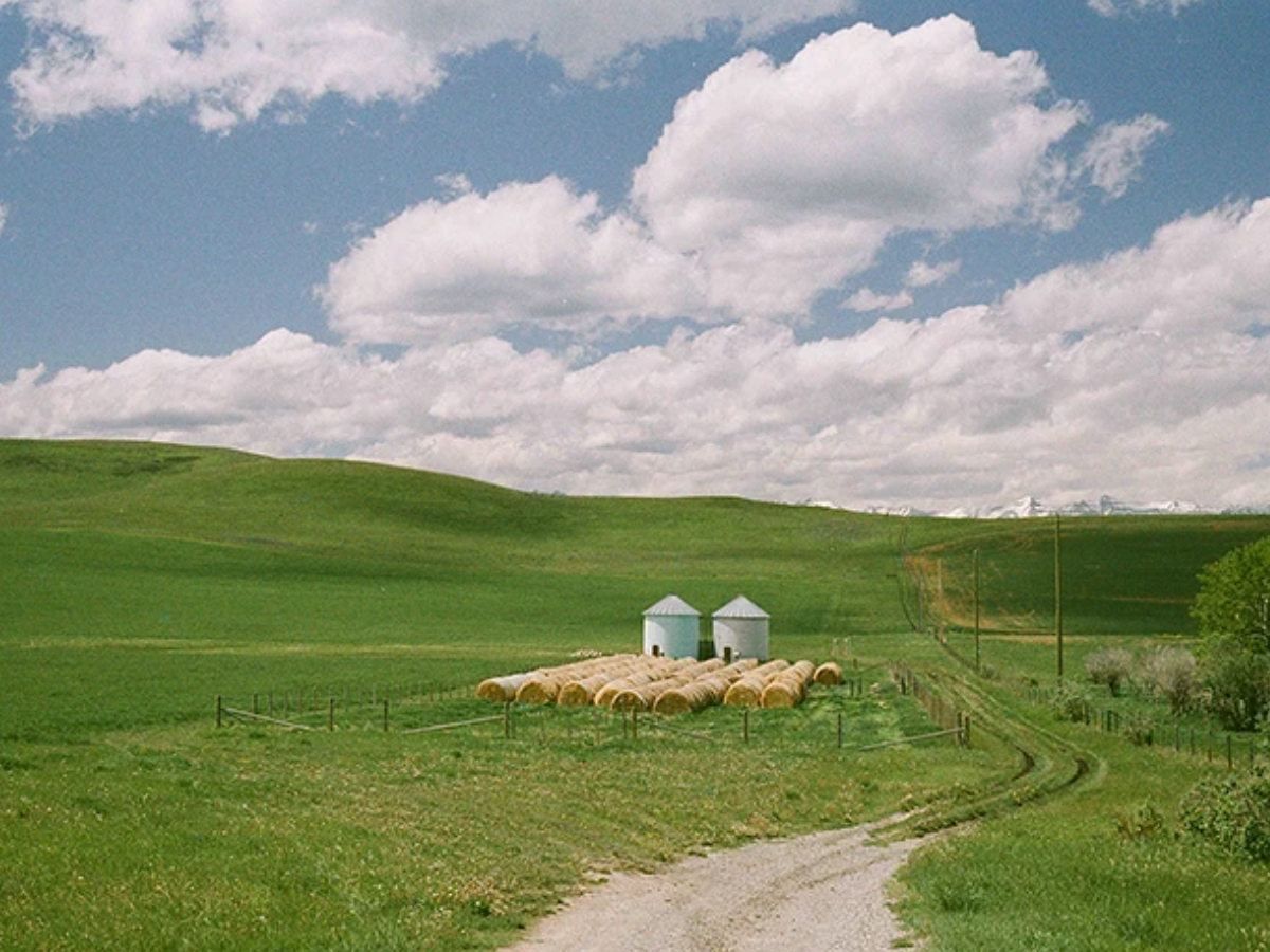 A scenic rural landscape with rolling green hills under a blue sky with large white clouds. A dirt path leads toward a small cluster of hay bales and two white silos in the field.