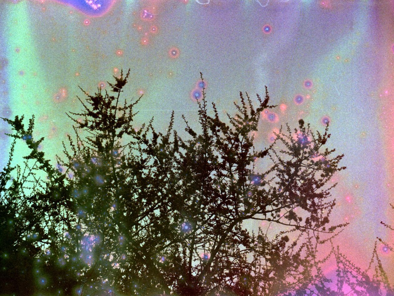 Hanalogital Fluorite - 35mm Film - Sample Image 1