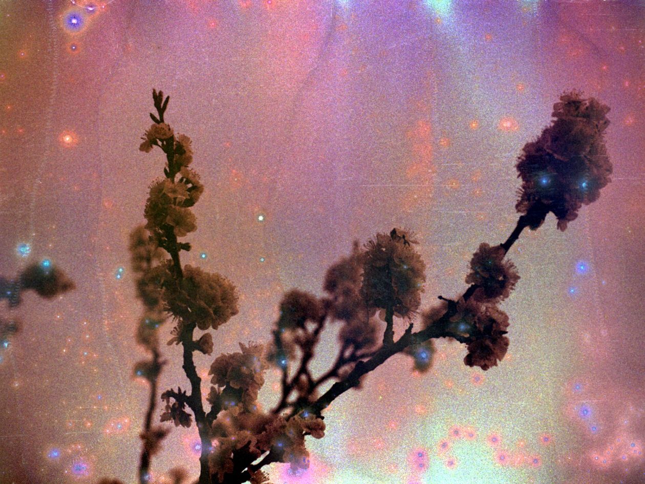 Hanalogital Fluorite - 35mm Film - Sample Image 3