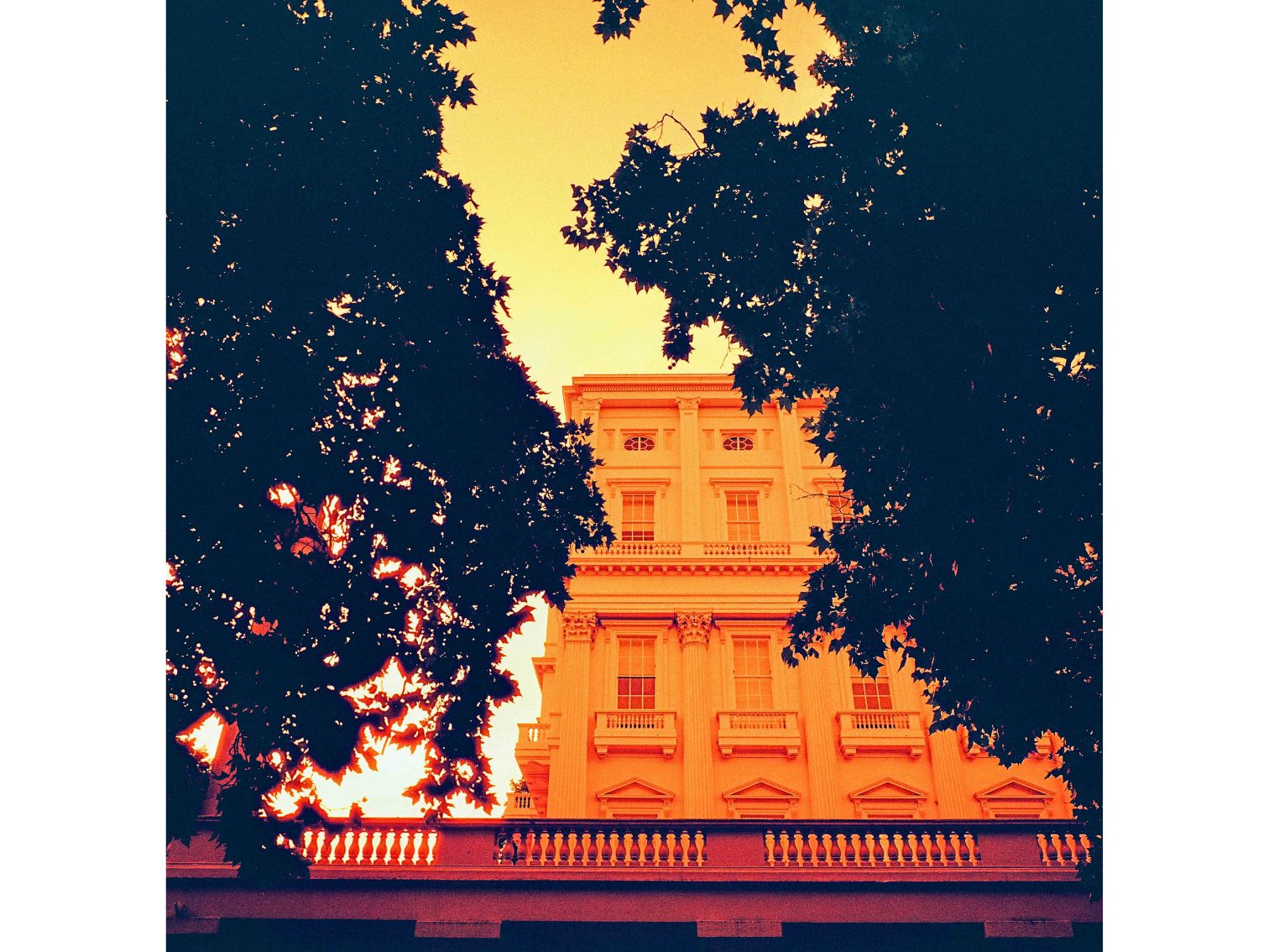 Harman Red - 120 Film - Heather Hughes - Sample Image 3