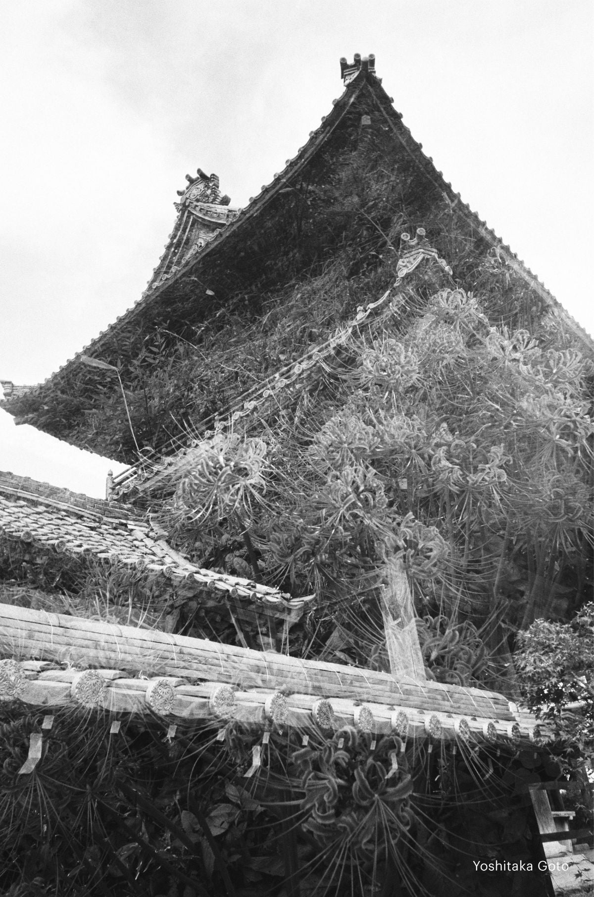 KODAK Snapic A1 - 35mm Film Camera