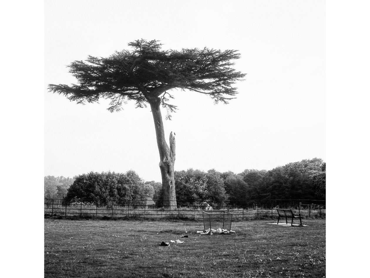 Kentmere 200 - 120 Film - Alex Hayes Sample Image 5