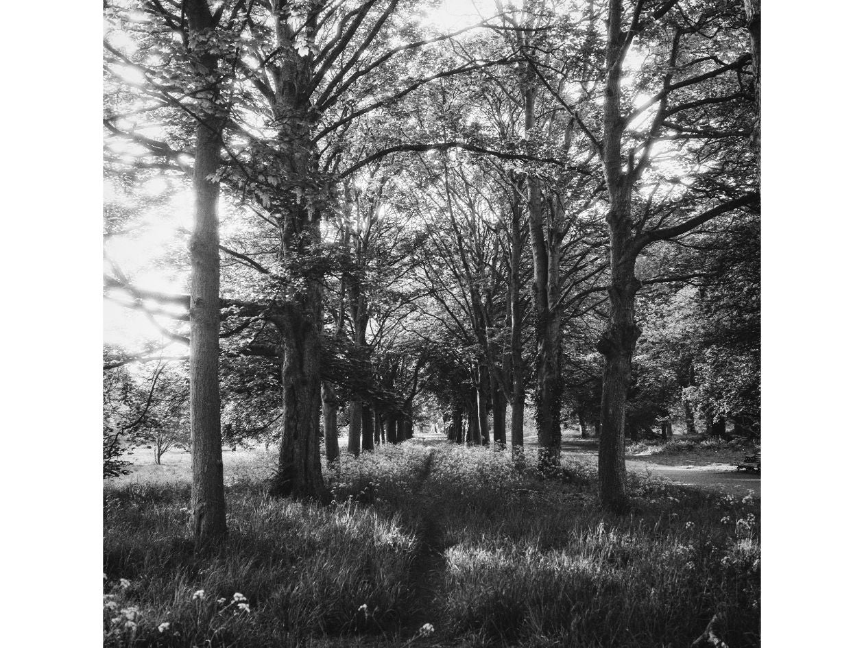 Kentmere 200 - 120 Film - Alex Hayes Sample Image 6