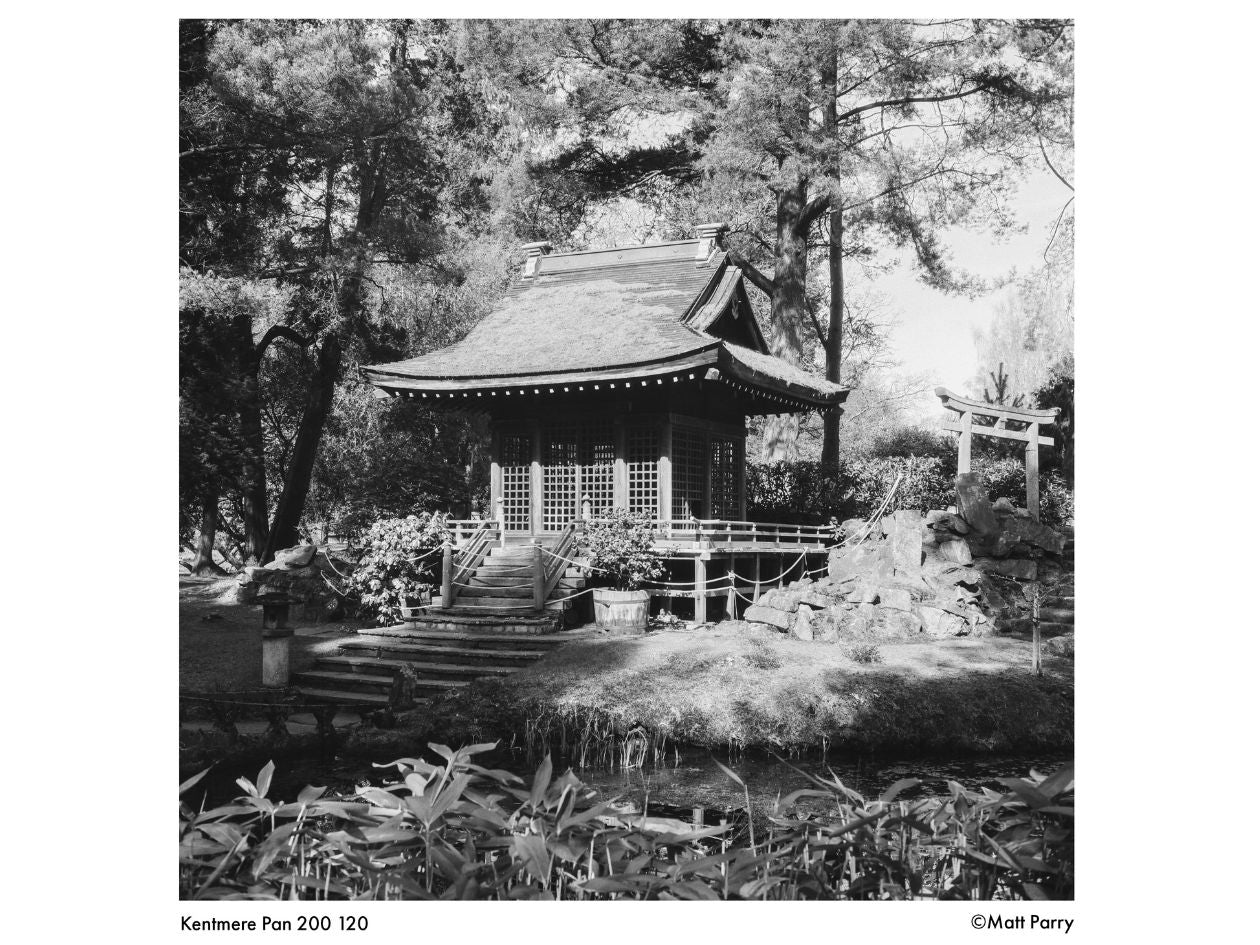 Kentmere 200 - 120 Film - Matt Parry Sample Image 1