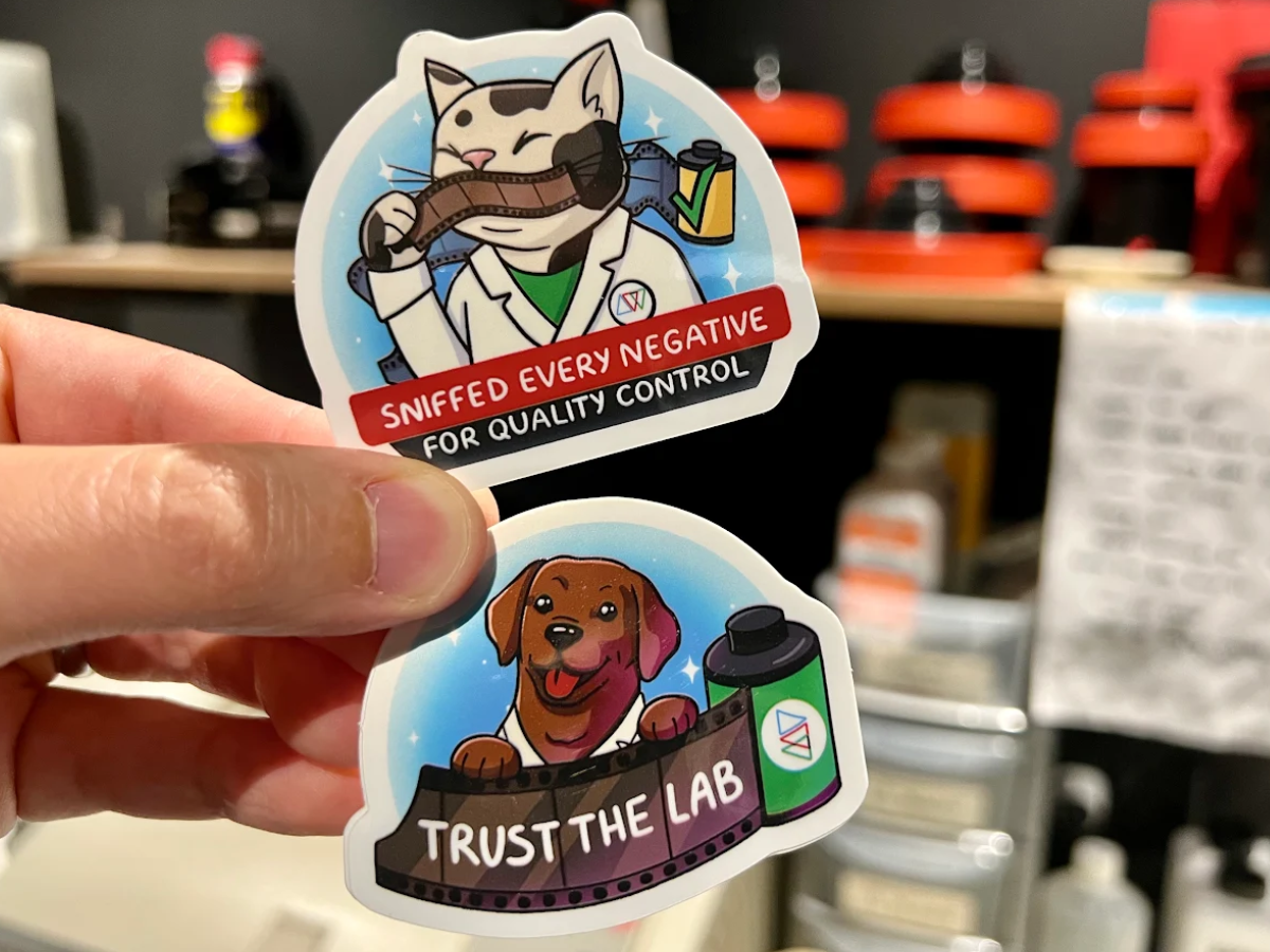 Lab Cats & Dogs Die Cut Vinyl Sticker Bundle - Glossy