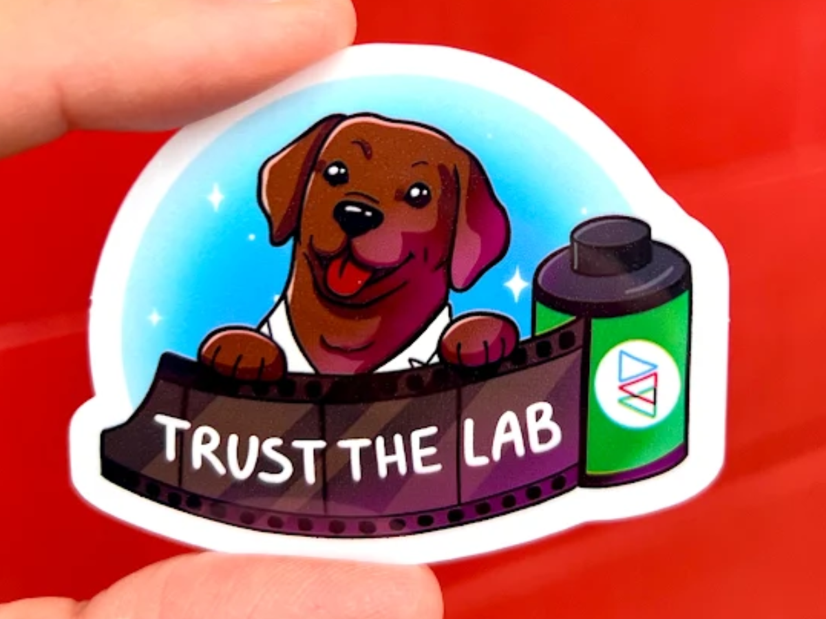 Lab Cats & Dogs Die Cut Vinyl Sticker Bundle - Glossy