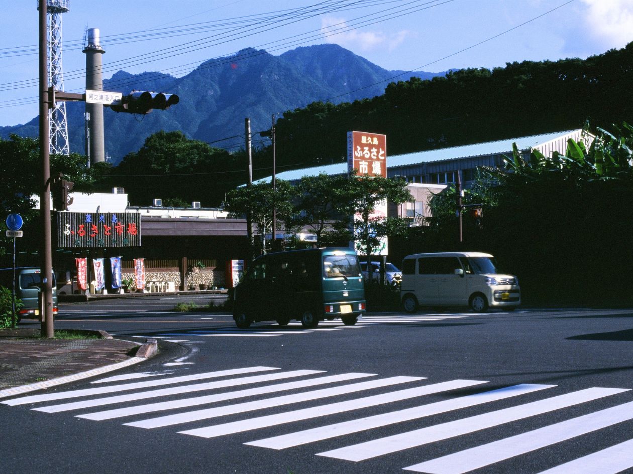 Mosaic 100 - 35mm Film - Sample Image 1