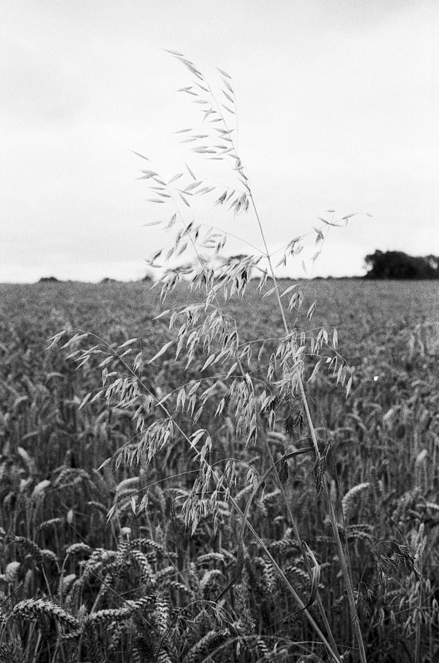 Mr Negative Black Market - 35mm Film - Sample Image 7 - Adam Stringer