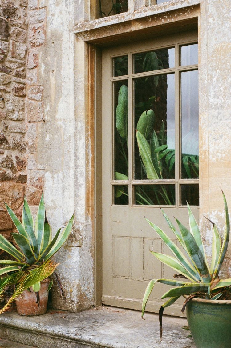 Mr Negative Same Same But Different 400 - 35mm Film - Sample Image 7 - Tom Warland