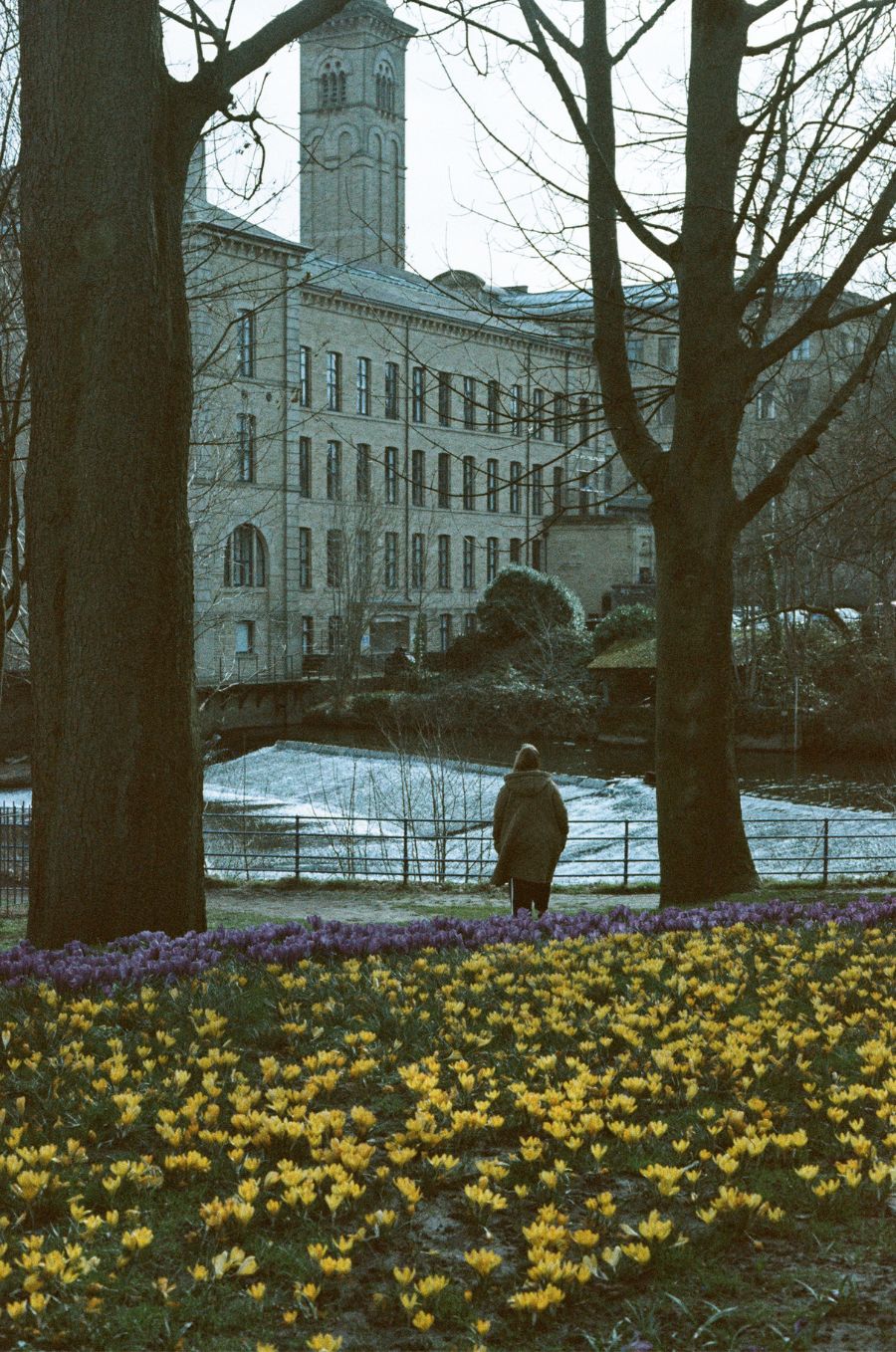 Orwo Wolfen NC400 - 35mm Film - Gary Smith Sample Image 10