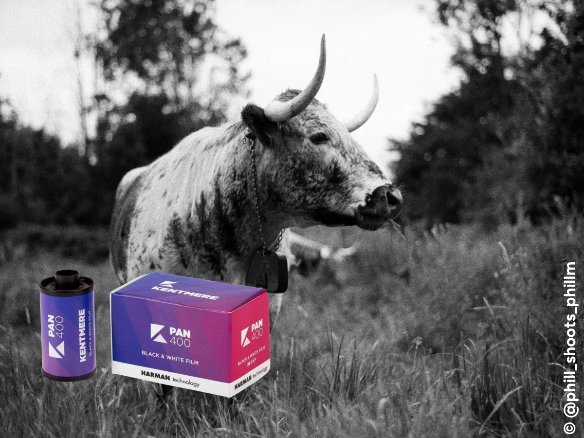 'Perfect for Beginners' 35mm Film Bundle