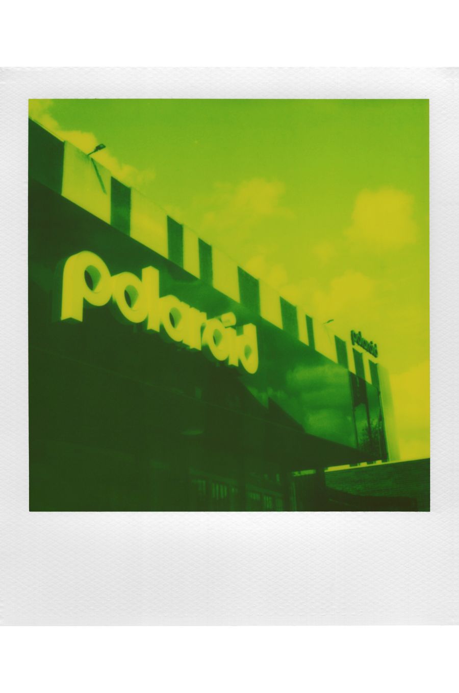 Polaroid 600 Film - Green (Reclaimed Series) - Sample Image 1