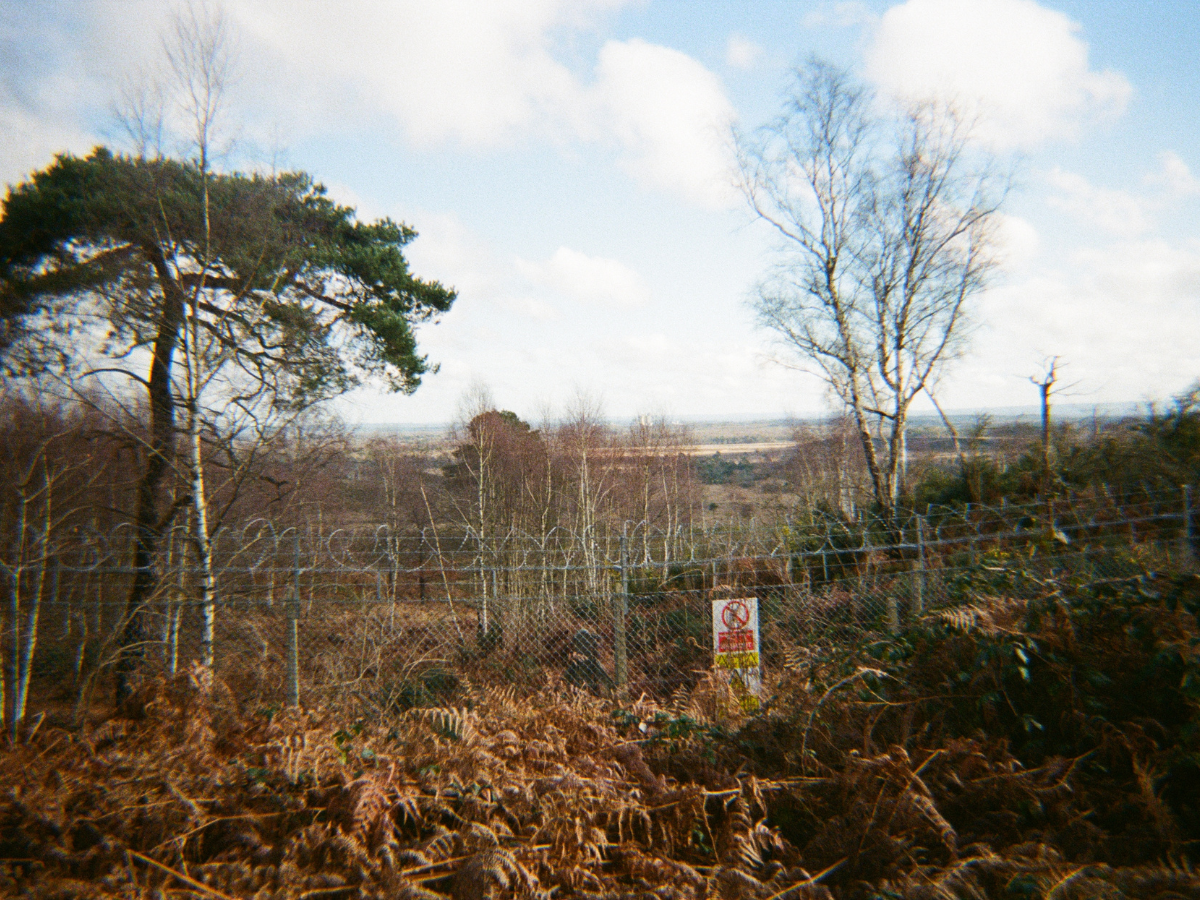 Fenced area with trees and a warning sign in the foreground - shot on PURE 35 film camera