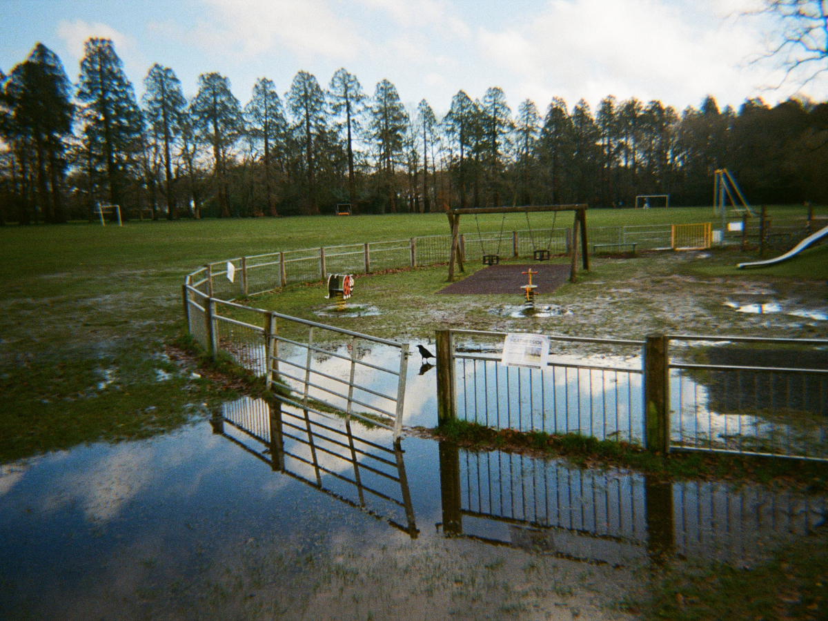 Pond with reflections in a park setting with trees and playground equipment  - shot on PURE 35 film camera