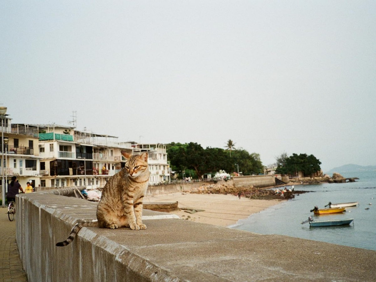 Reto Prism 200 - 35mm Film
