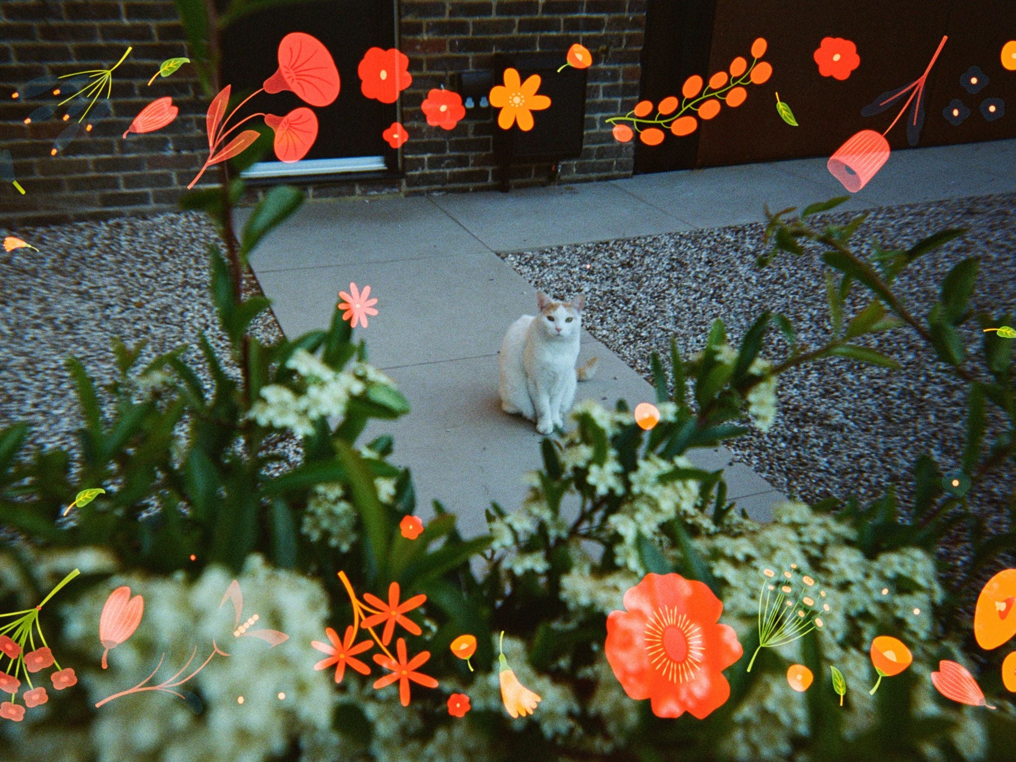 Reto Blossom 400 - Disposable Film Camera - Ana Blumenkron Sample Image 1