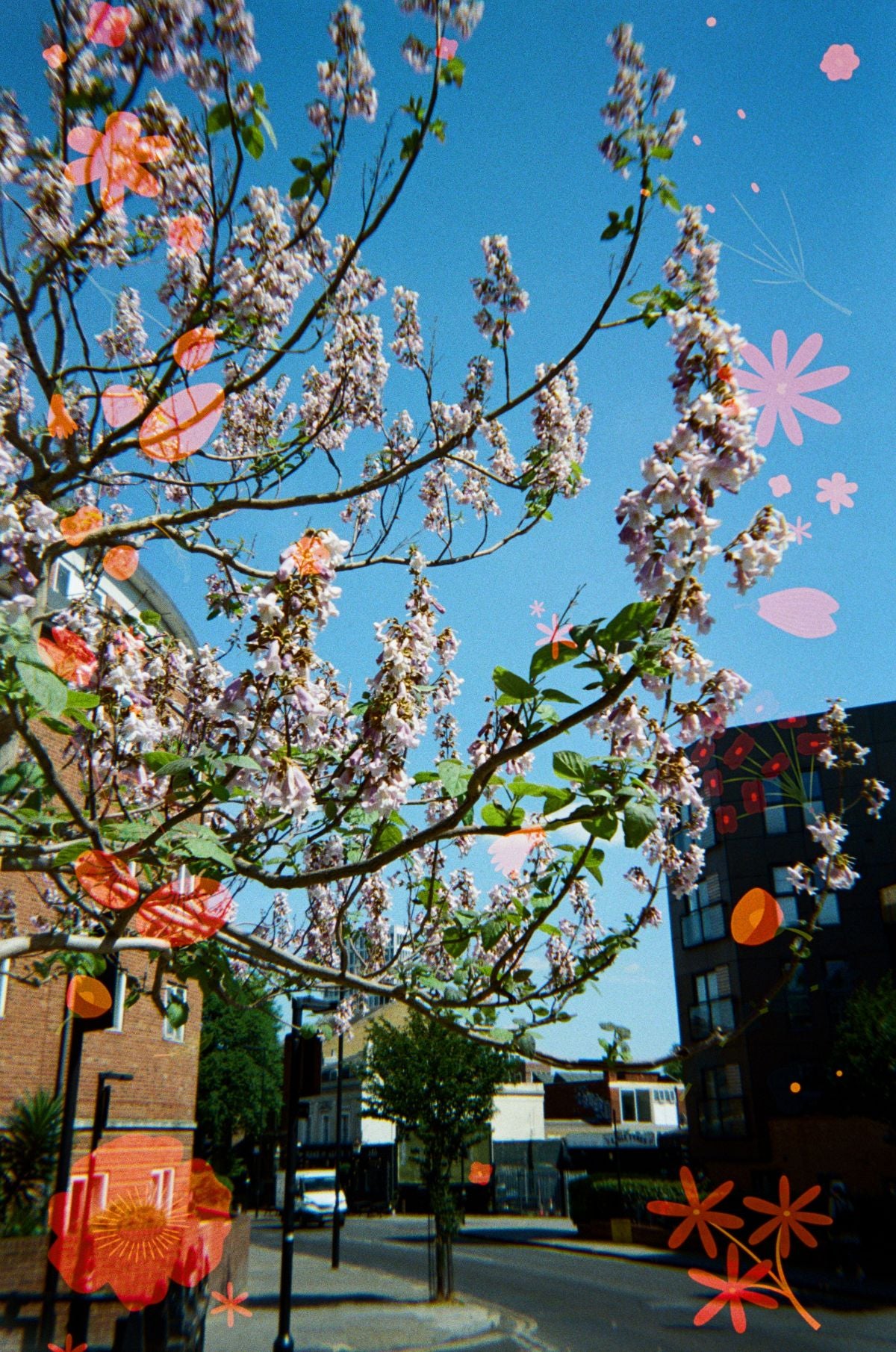 Reto Blossom 400 - Disposable Film Camera - Ana Blumenkron Sample Image 6